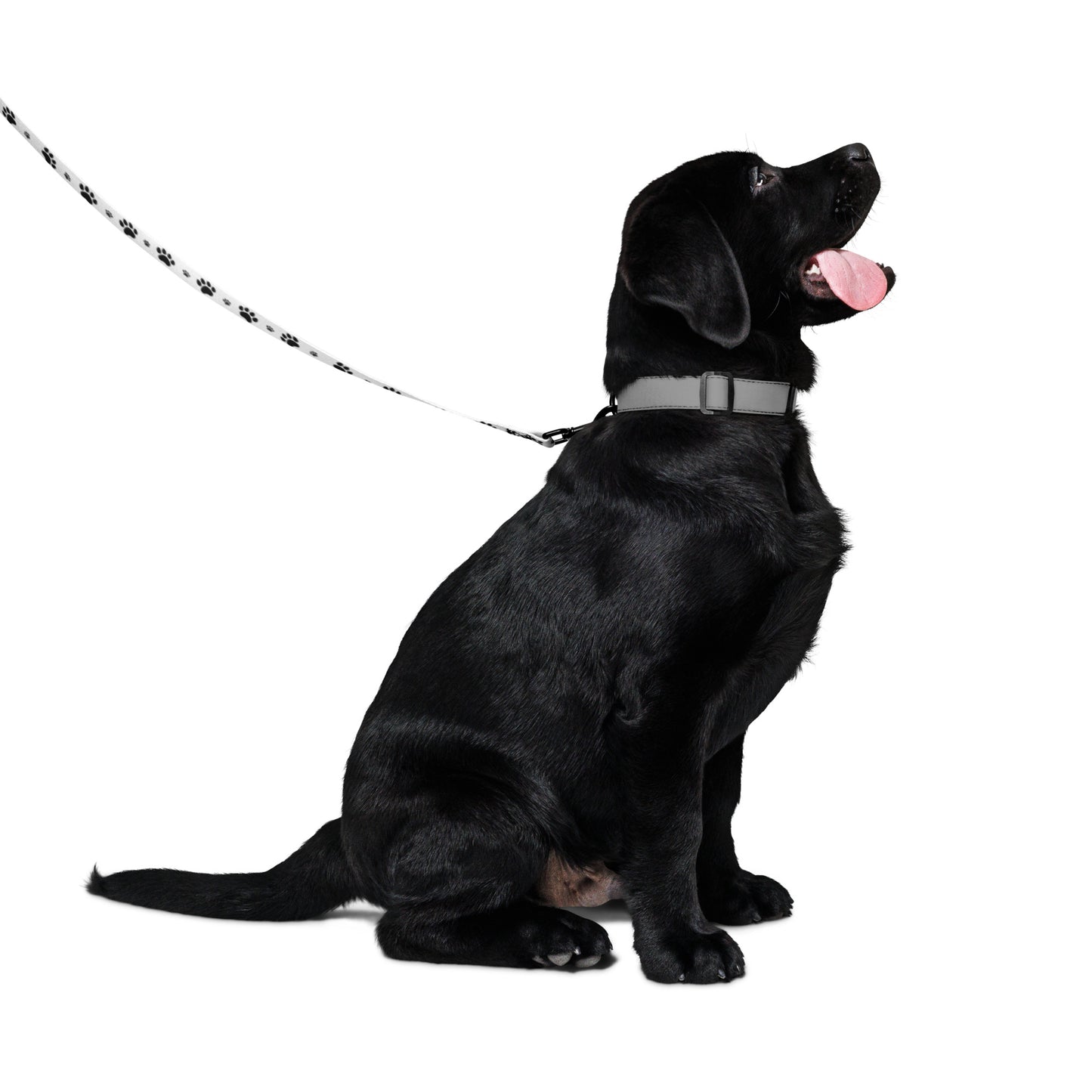 MicroPets Dog Leash