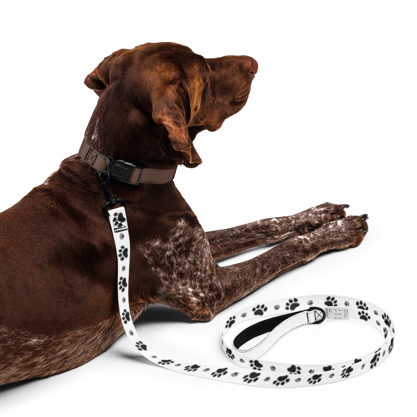 MicroPets Dog Leash