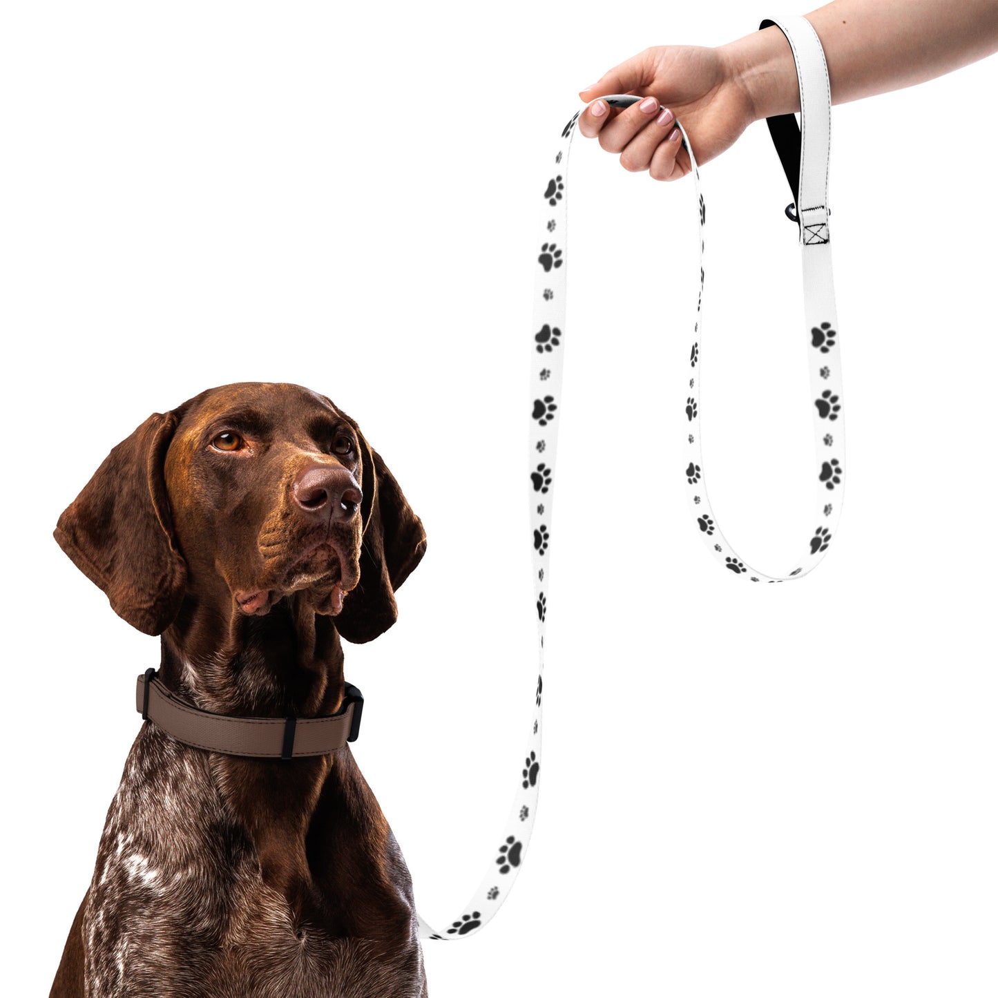 MicroPets Dog Leash